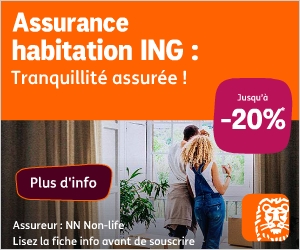 Ing